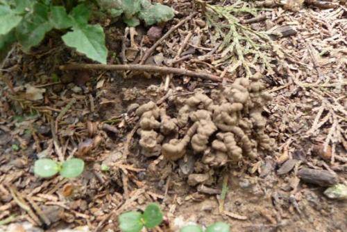 啥时候是土旺 41451984c9414ac6b830af041e93d72f.jpeg