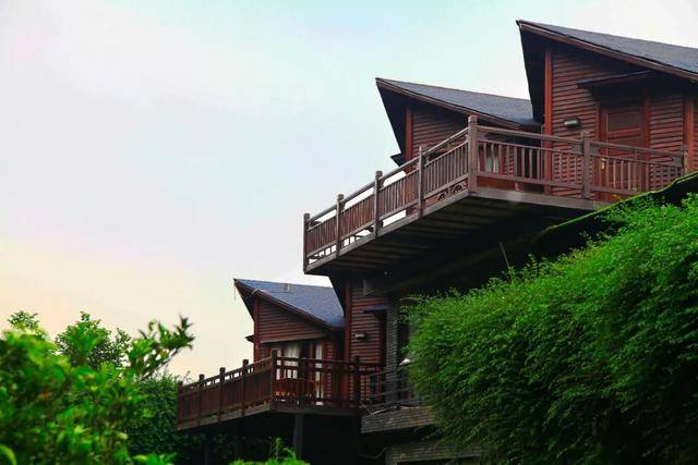 彭山|桃中极品，口口香甜彭山黄桃