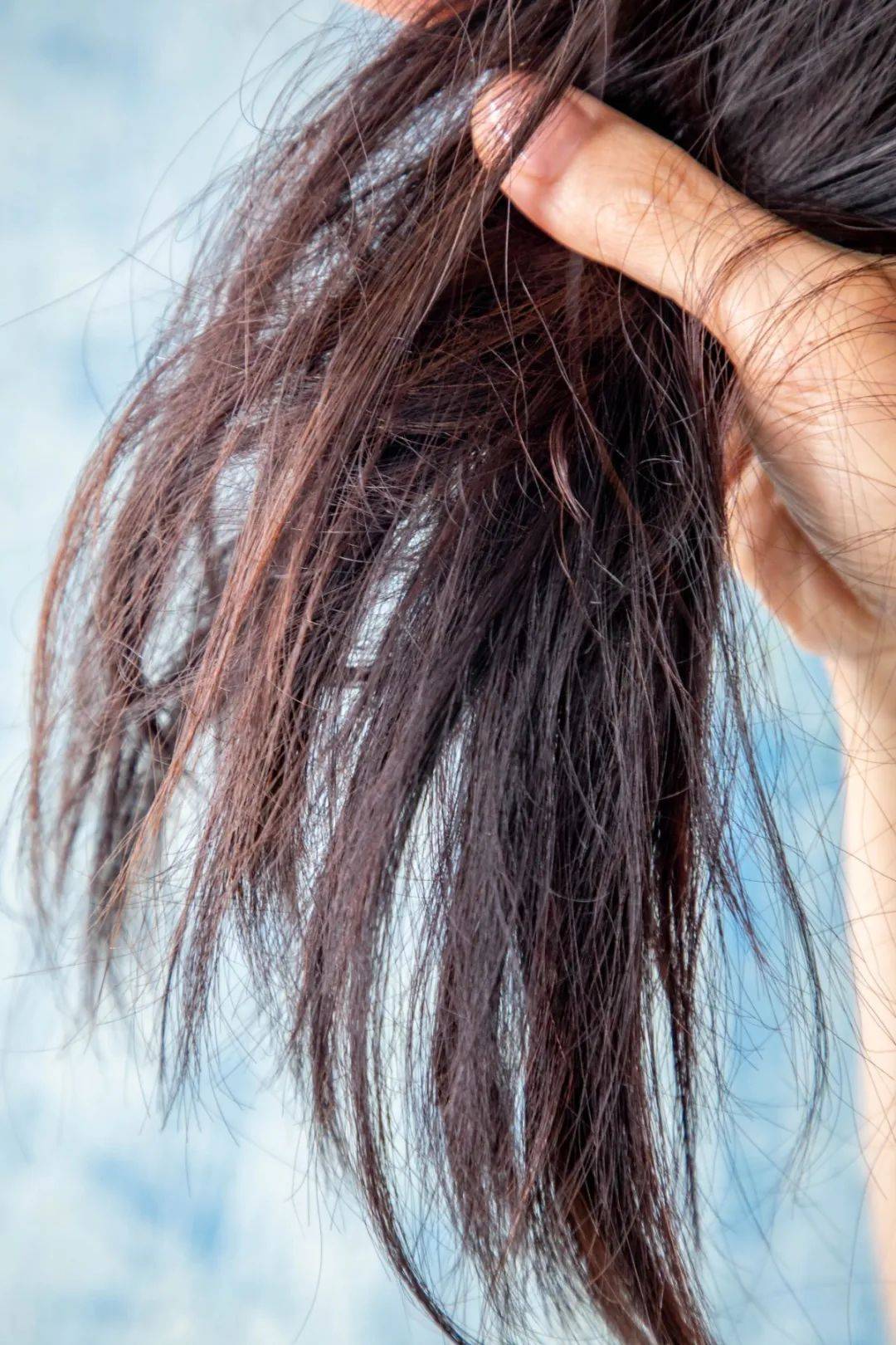 超低价|五折!宝藏护发套装超低价释出,“炸毛星人”赶紧囤!