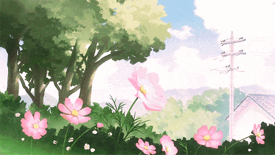 b2ba865e3d014da480118148e28dfc7a.gif