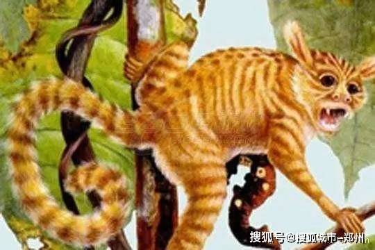 蜂腰猿什么成语_猿臂蜂腰(3)