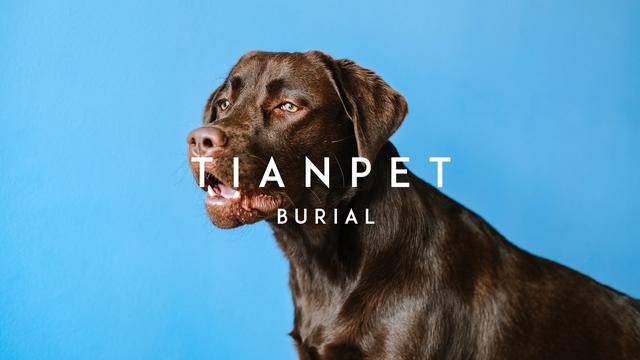 殡葬|TIANPET天宠（国内知名宠物善终品牌）宠物殡葬｜火化｜
