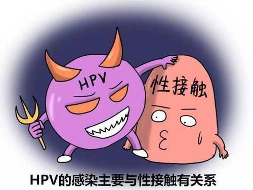 到底要不要给孩子打hpv疫苗 761baeff6866400fa58a64a7a8e388e3.jpeg