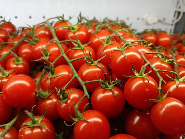 测评盘点|realme真我V5抢先体验：给竞争对手们打了个样