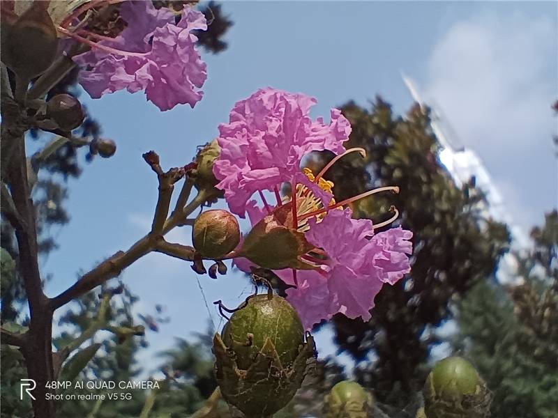 天玑720中端王炸!realme真我V5首发评测