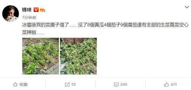 谢霆锋晒照下冰雹把他家菜园子砸塌了，现场一