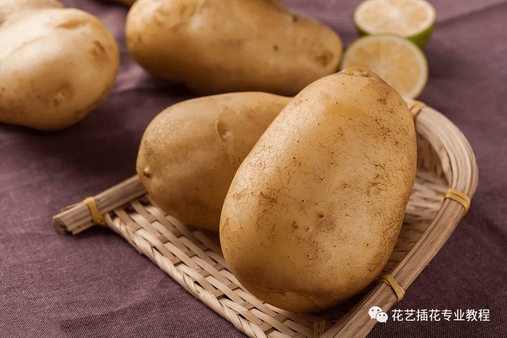 什么样的土豆形容词 b72d1a95a15d400ba0990794eee561d9.png
