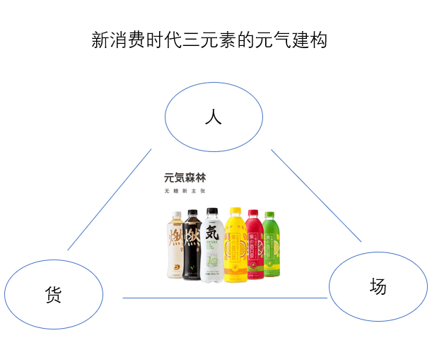 森林循环圈人口_血液循环图