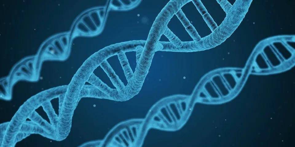 什么是生物治疗癌症 f489b247cc8e4083adc80f8e0be65b21.jpeg