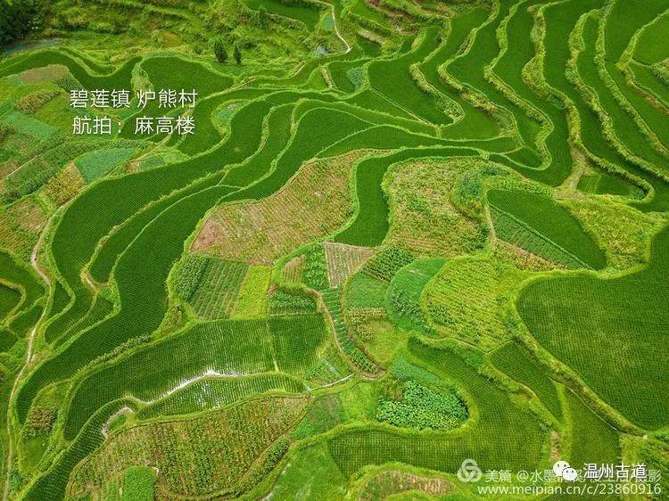 都炉村人口_人口普查(2)