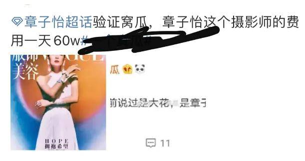 珠宝|章子怡佩戴价值5亿珠宝上封,画风却像暴发户,表现力远不如巩俐