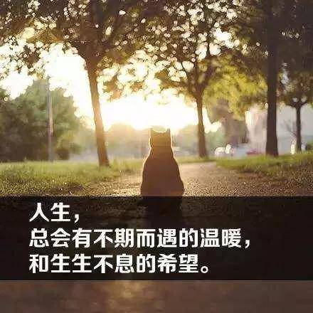 生命是有限的,希望是无限的