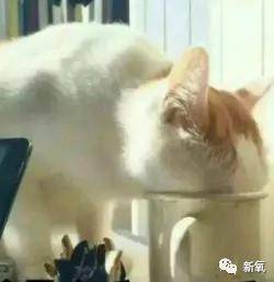 白皮|娱乐圈最新冷白皮冠军，生图让所有女星黯然失色！