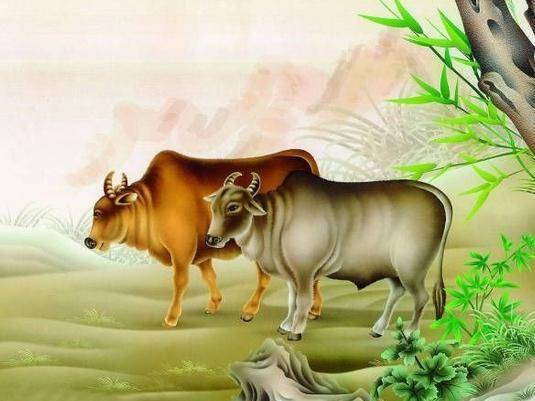 马到成功打一生肖动物是什么生肖，文化内涵解读