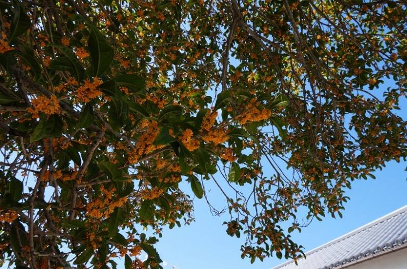 教师风采|资阳市雁江区幸福博文学校教师个人风采展示系列之——站成永恒