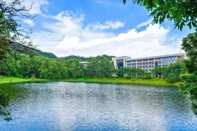 录取分数|提起看！广东这5所大学超厉害！录取分数暴涨？