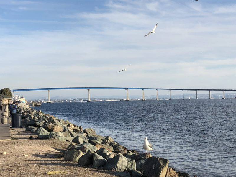 行情|基金持仓占比降至历史次新低，银行保险遭抛售，行情拐点到了吗？