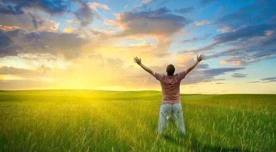 观点评论|给创始人的忠告，时机为重，别掉进“伪合伙”的坑里