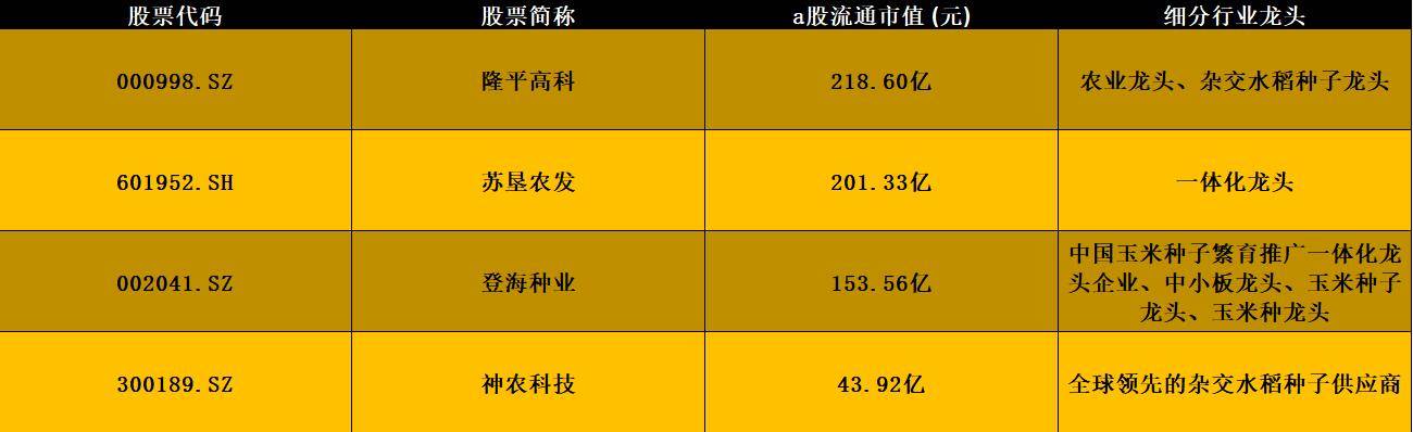 a股:黄灿灿的"玉米"行业细分龙头(名单,有你的吗