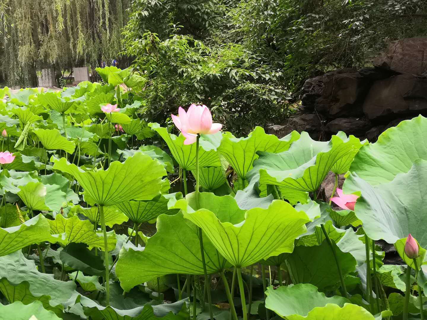 志愿|考研人注意！这些学校取消一志愿优先录取！