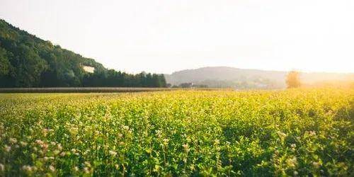 高考|注意啦！小心上不了大学！高考后，这6样东西千万不要晒！