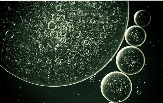 f4096907aeb0443ba597a73c021f1ec6.png