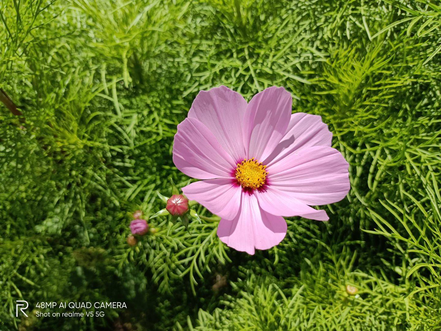 部分|realme真我V5性能实测：天玑720表现有惊喜，千元价位值得考虑