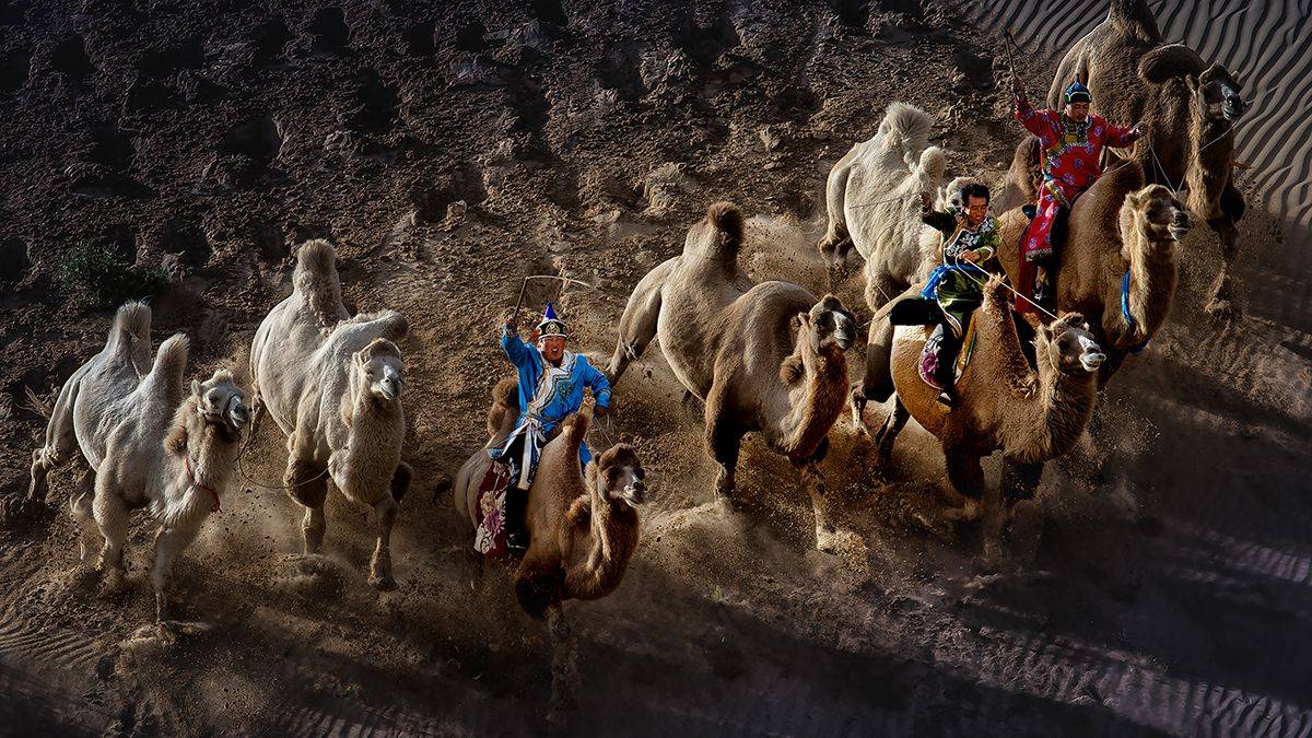 通辽|内蒙古·奈曼·宝古图·大漠灵动