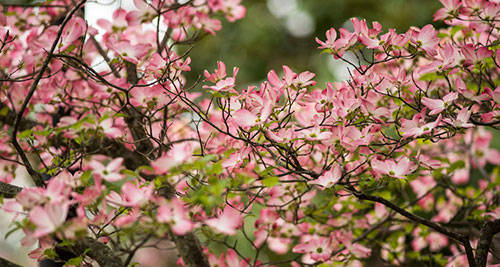 官宣|重磅官宣！德国留学可以直接凭高考成绩申请了！