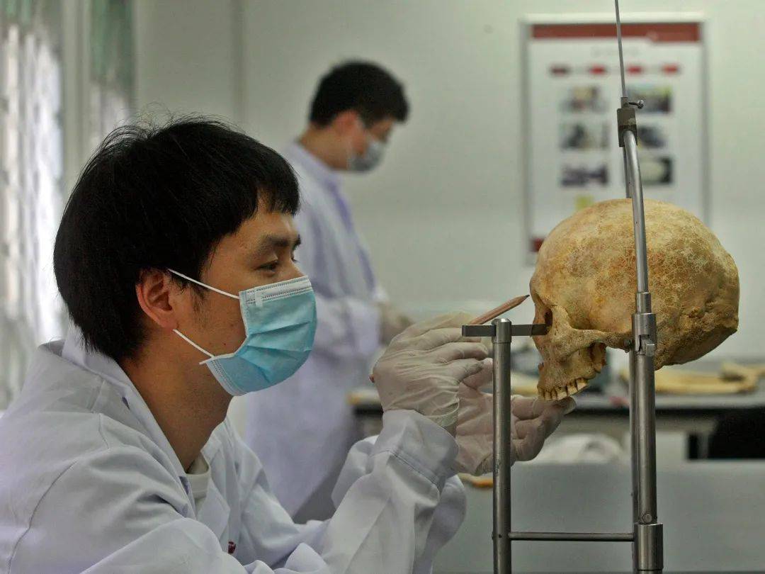 数学|【高校数学邦】我的专业，真的不是干这个的！