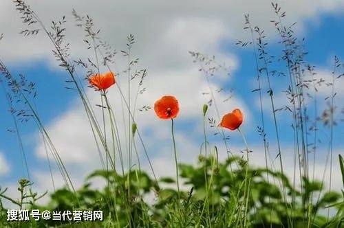 4d64cfdf7ce54d50b81e25dc926b69a6.jpeg
