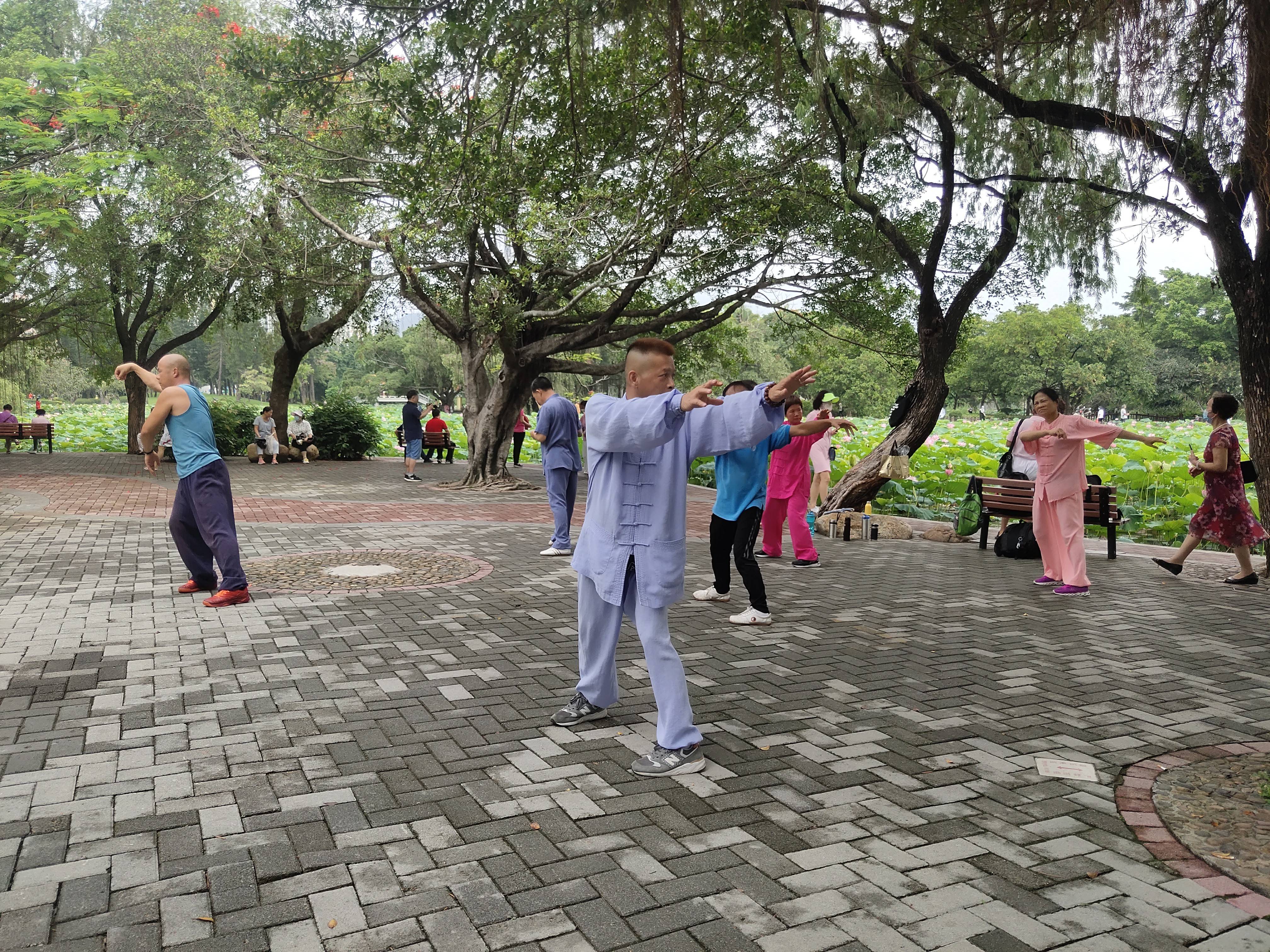 【张红卫】洪湖公园太极拳晨练集锦.