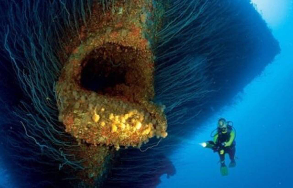 海底巨怪叫声?专家监听一万米深海沟,发现区别于鲸类的未知叫声