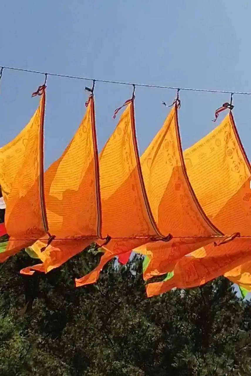 知识科普|护法总集经旗