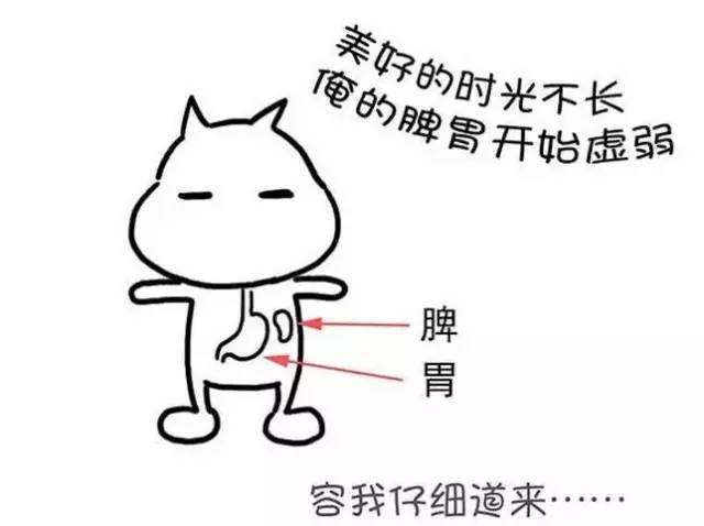 6f6dc992c20b4cd981c5abf2959817a9.jpeg
