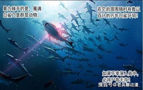 星斗森林有5只10万年魂兽为何不如海魂兽深海魔鲸王能一打五