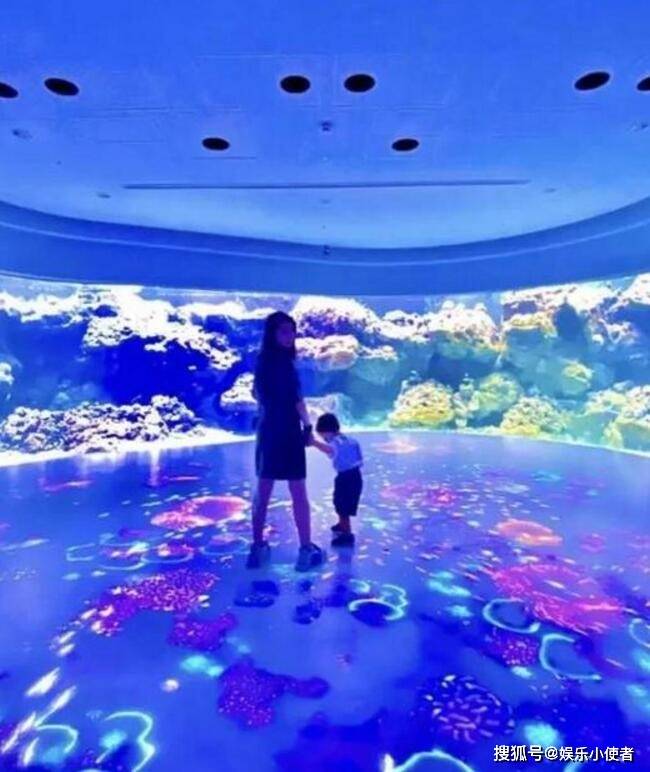 原创昆凌带孩子去海洋馆小小周跟妈妈一起看鱼乖巧可爱