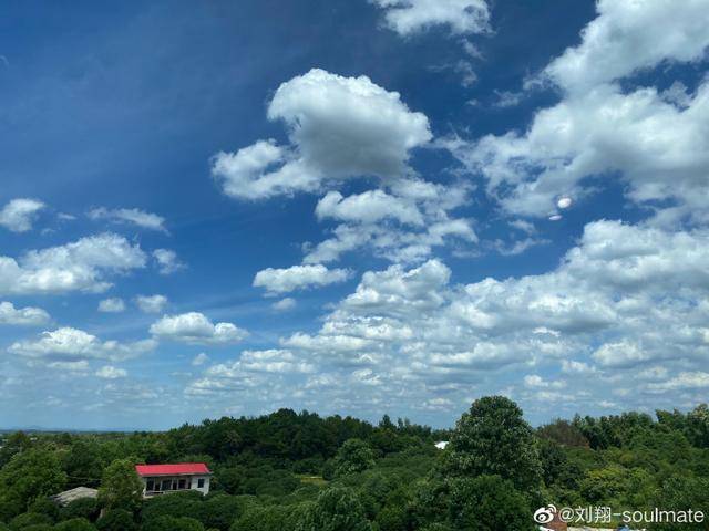 刘翔疑度假散心，与娇妻半年无互动，前妻葛天