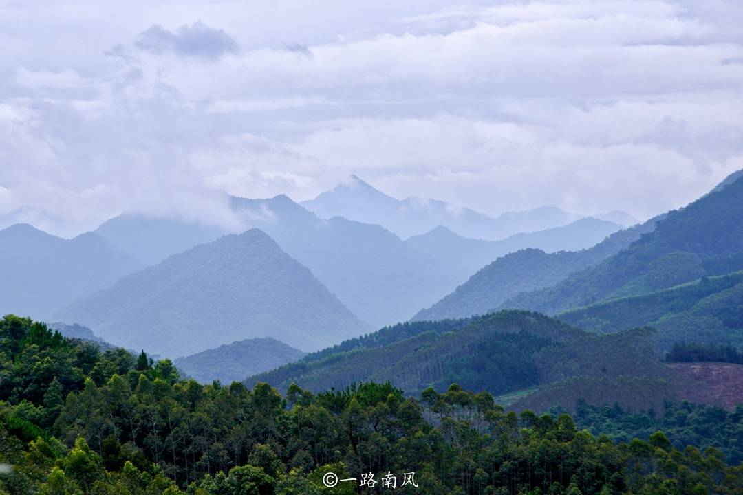 广西林氏人口有多少_2020年广西人口分布图(3)