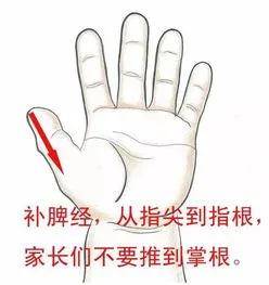 脾胃|如何预防及应对孩子脾胃不和？——湘曦源