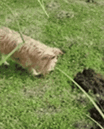 搞笑gif:小妹妹,你将来绝对是高手