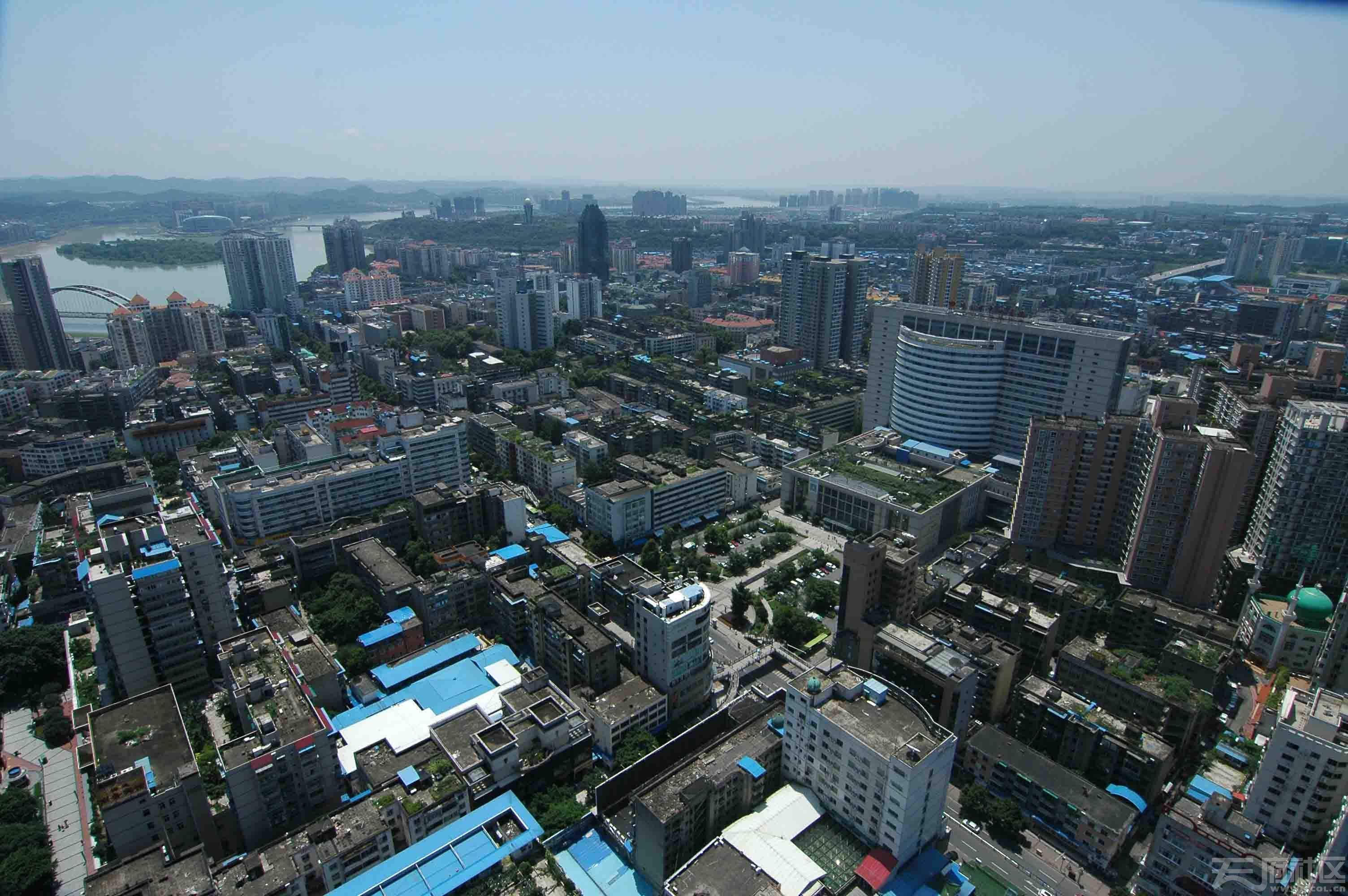 2020邻水GDP_邻水玫瑰之约鲜花店