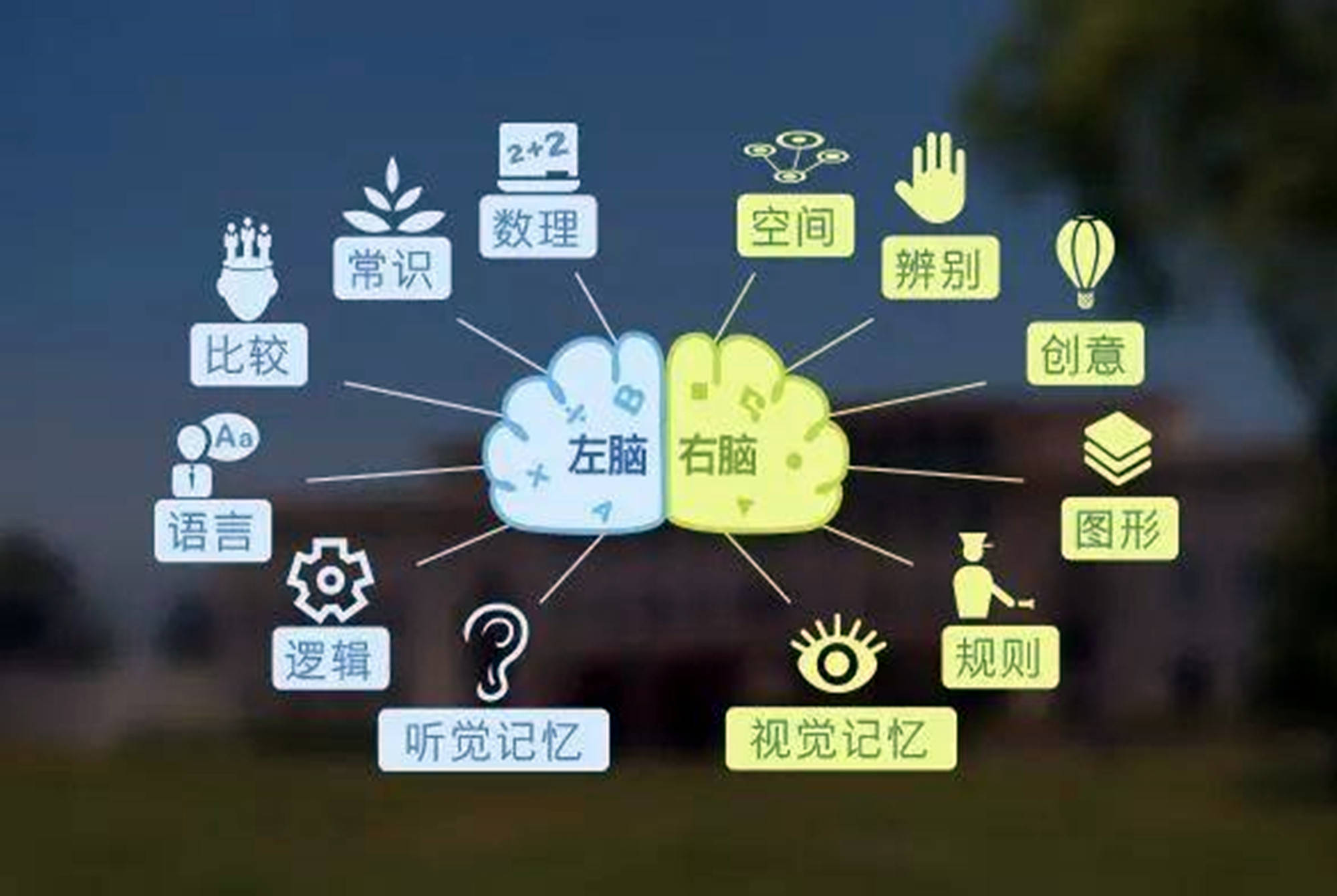 原创孩子“左撇子”要扳过来吗？科学家研究证实：左撇子智商趋向两级