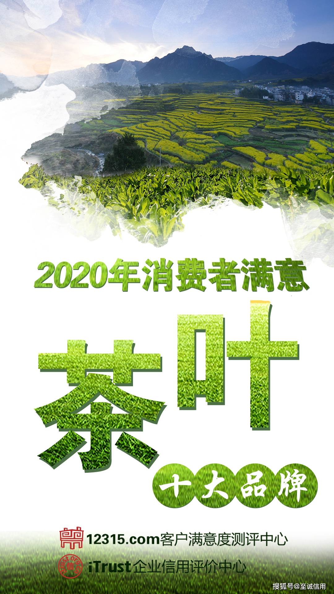 2020年绿茶排名_至诚排行发布2020年消费者满意茶叶十大品牌