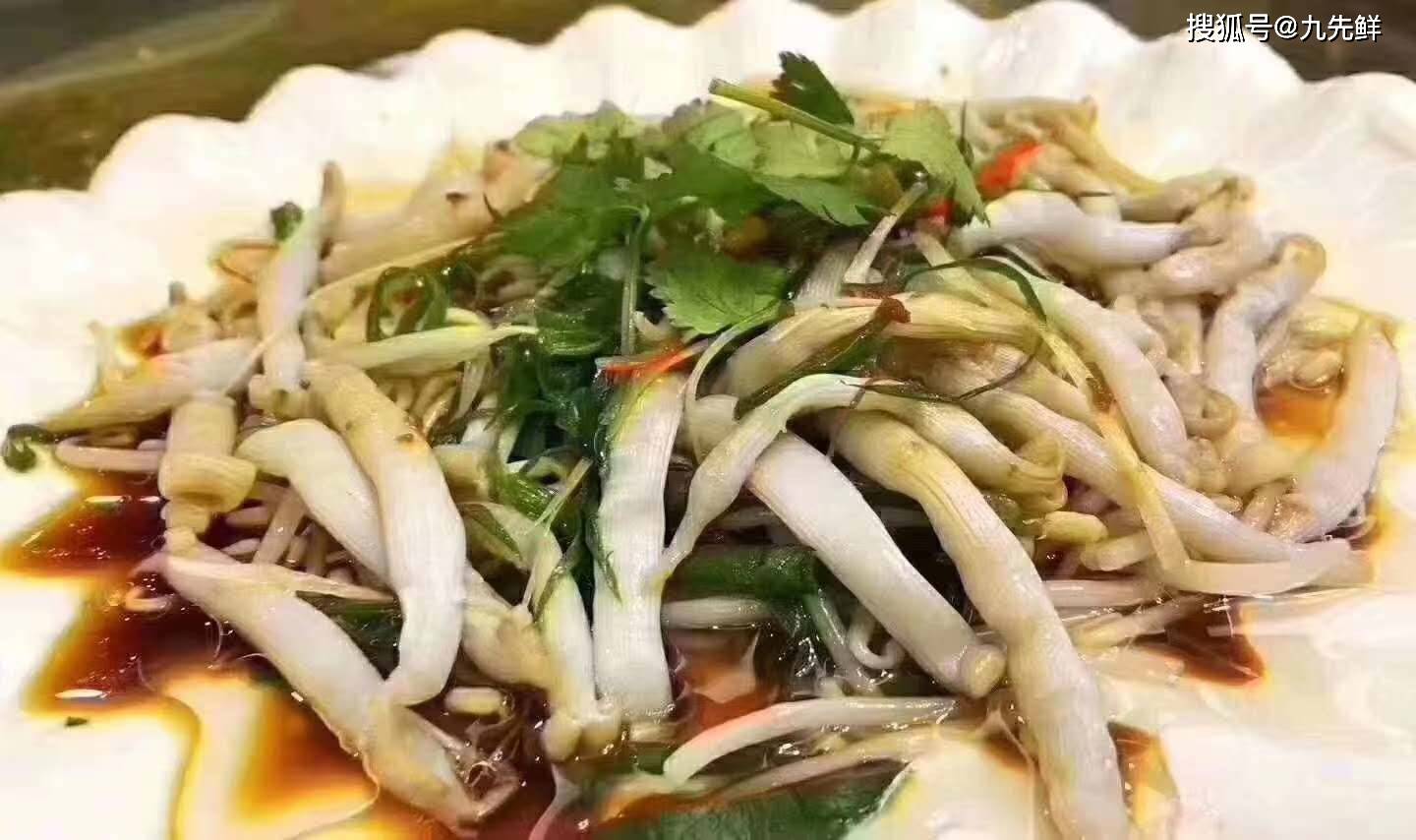 鲜美海产推荐:纯净海域才有的珍品_沙虫