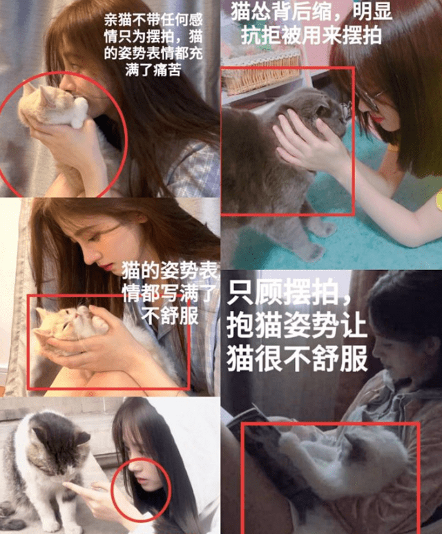 鞠婧祎越红越被骂,四千年怎么来的,电梯赶人