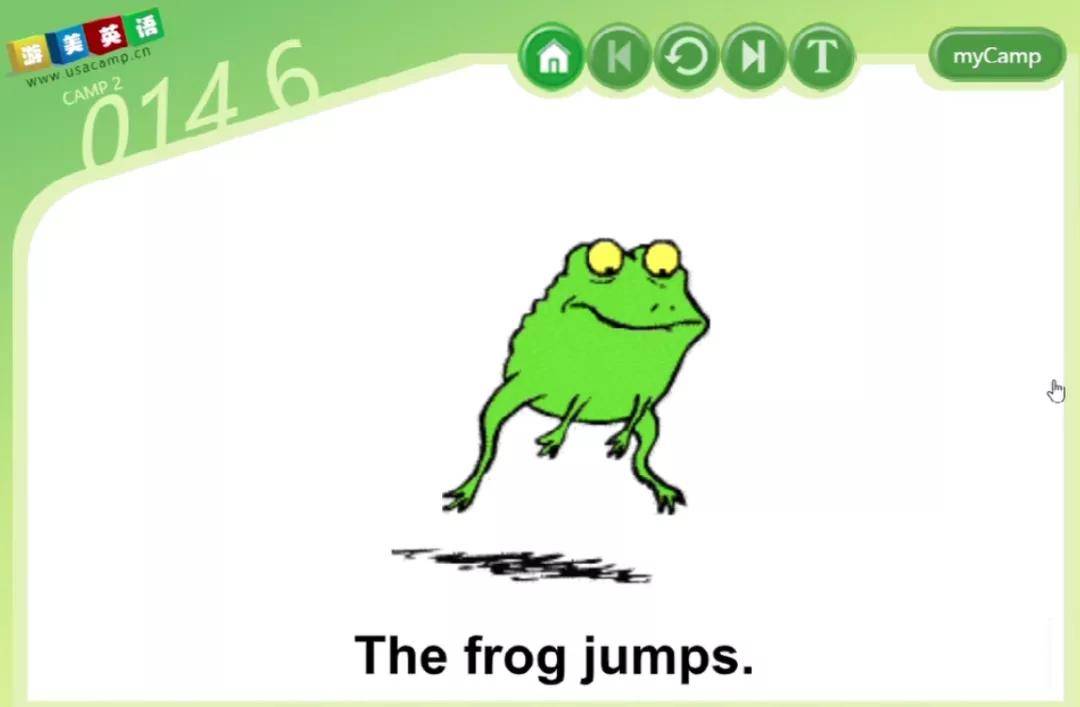 the frog jumps.  一只青蛙跳着.