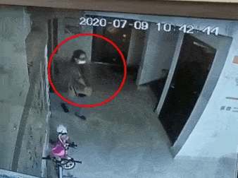 李倩月|三评南京女大学生是好奇害死猫吗？