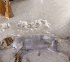 b389d8e5699c4b958349d67177b49854.gif