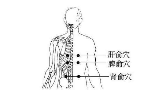 可以按摩 心俞,肝俞,脾俞,肾俞.